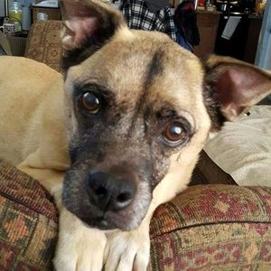 Meet your Posher, Donne